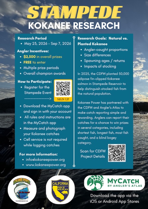 2026 Stampede Kokanee Research